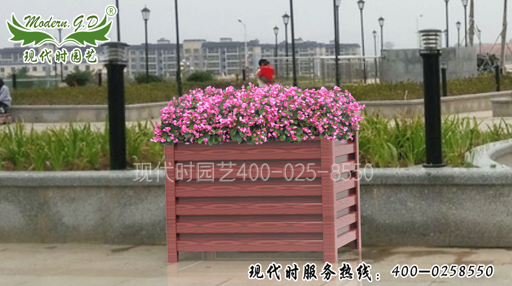 �L�����X�Ͻ�����̖��H-2